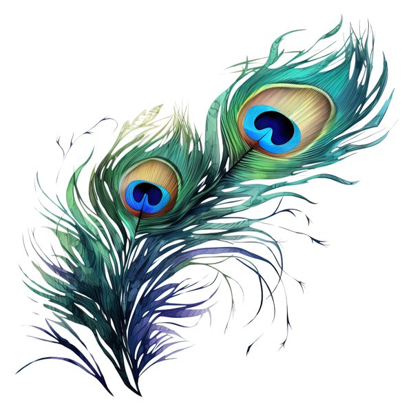 Watercolor Peacock Feather Clipart: PNG, JPG, Commercial Use — image 10