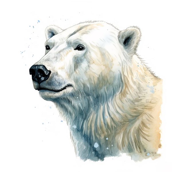 Watercolor Polar Bear Clipart, Animal PNG JPG (Digital Download) — image 5
