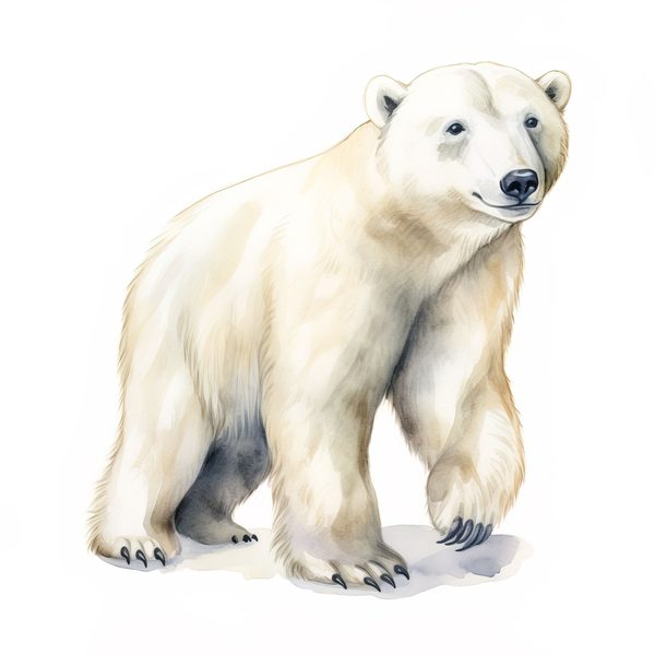 Watercolor Polar Bear Clipart, Animal PNG JPG (Digital Download) — image 10