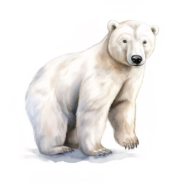 Watercolor Polar Bear Clipart, Animal PNG JPG (Digital Download) — image 12