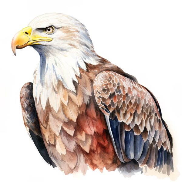 National Bald Eagle Clipart: US Patriotic Bird Symbol PNG, Art Printable (Commercial Use) — image 3
