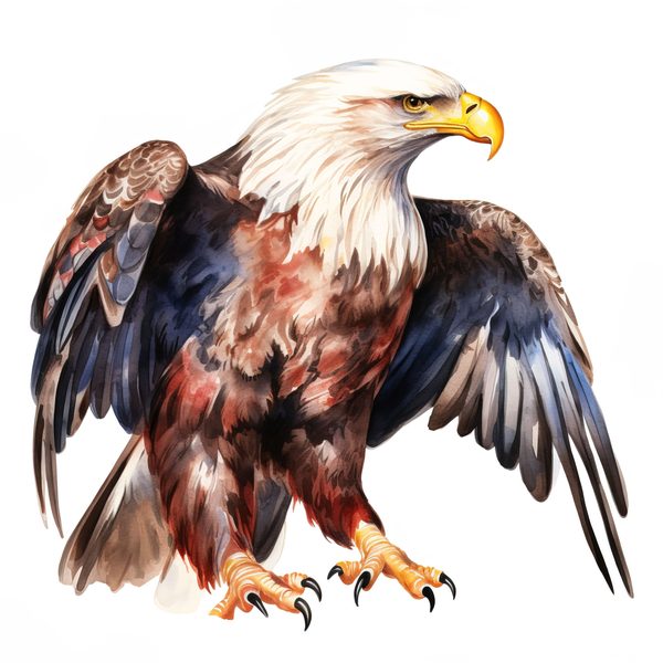 National Bald Eagle Clipart: US Patriotic Bird Symbol PNG, Art Printable (Commercial Use) — image 7