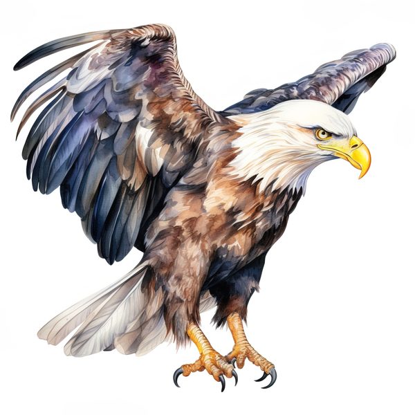 National Bald Eagle Clipart: US Patriotic Bird Symbol PNG, Art Printable (Commercial Use) — image 8