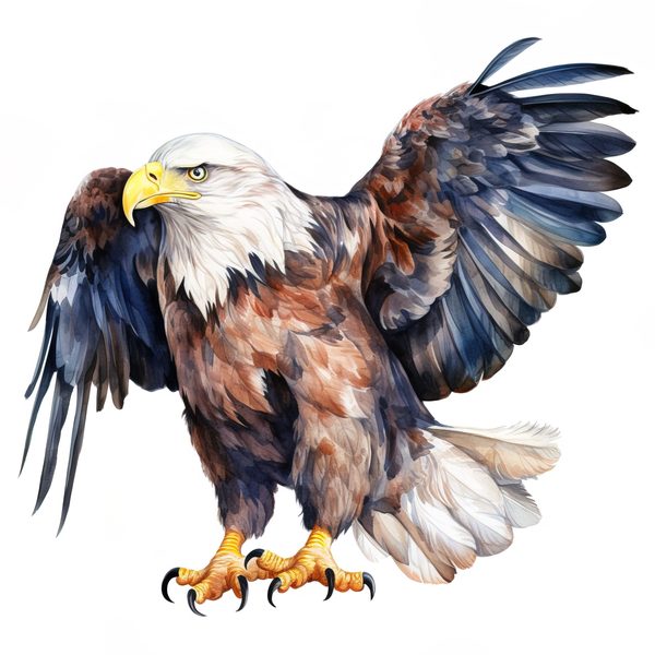 National Bald Eagle Clipart: US Patriotic Bird Symbol PNG, Art Printable (Commercial Use) — image 11