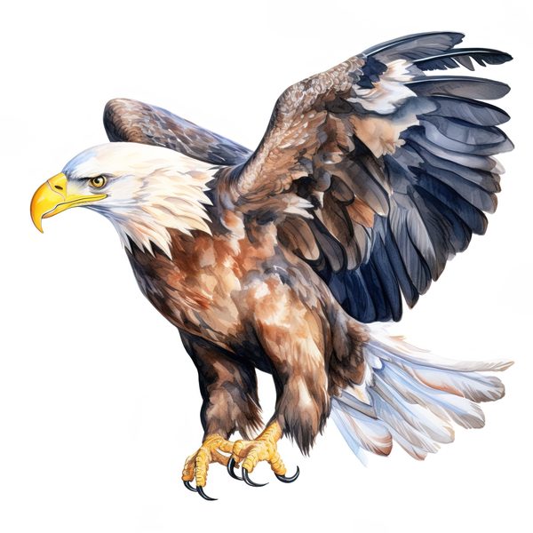 National Bald Eagle Clipart: US Patriotic Bird Symbol PNG, Art Printable (Commercial Use) — image 12
