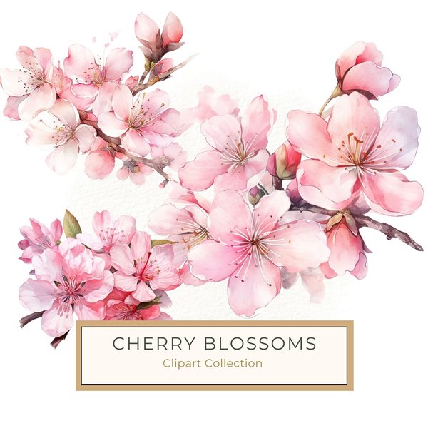 Watercolor Sakura Flowers Clipart: Pink Cherry Blossom Art (JPG, PNG)