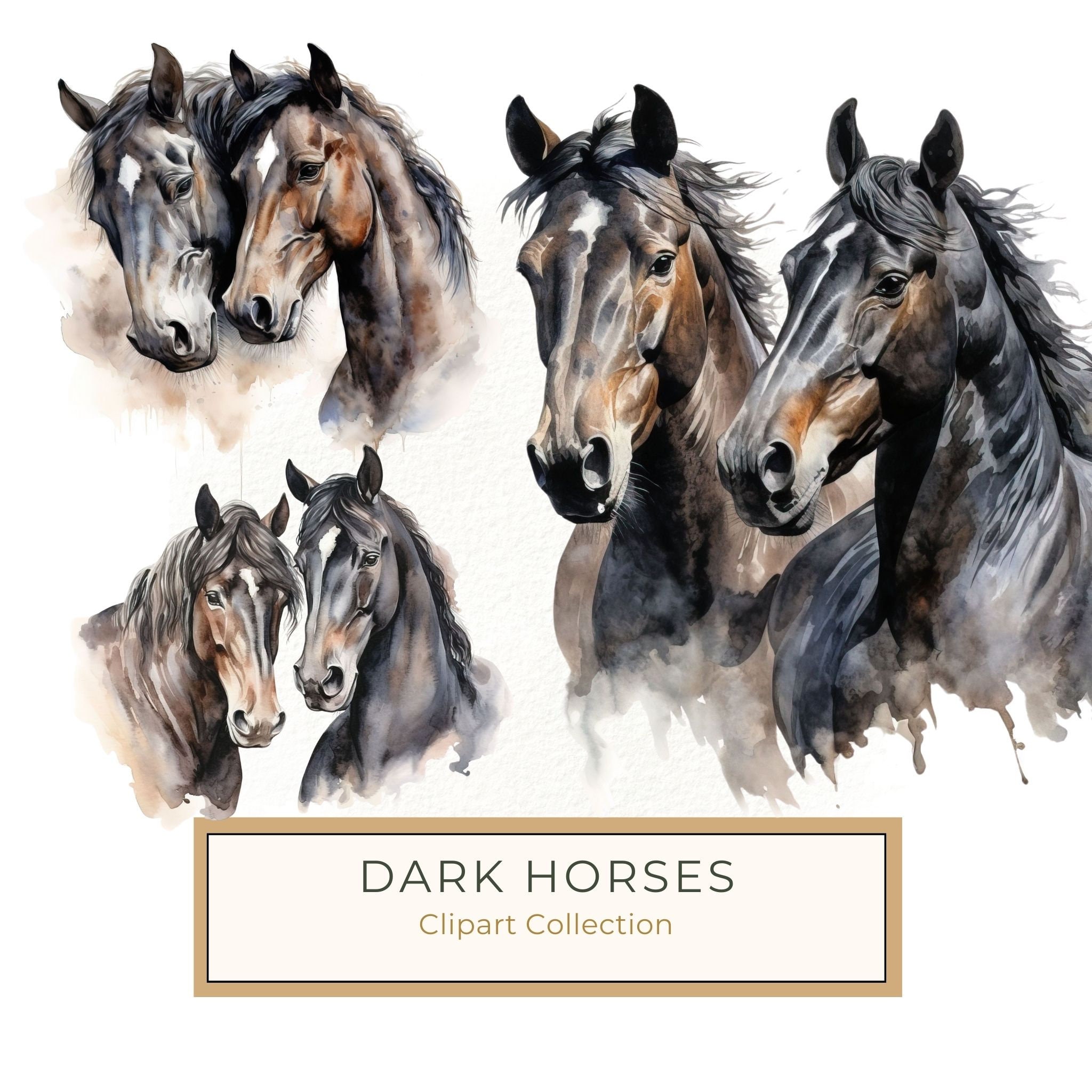Watercolor Black Thoroughbred Horse Portrait Art: Stallion & Mare PNG Clipart (Commercial Use)