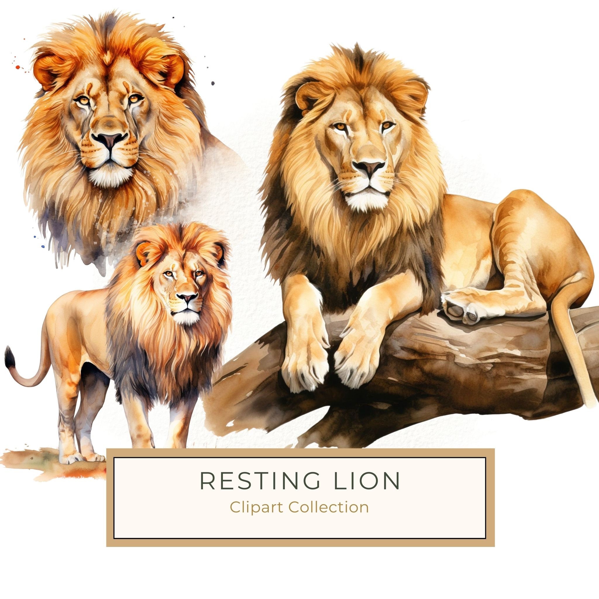 Watercolor Lion Clipart: Realistic Lion Portrait, Commercial Use (JPG, PNG)