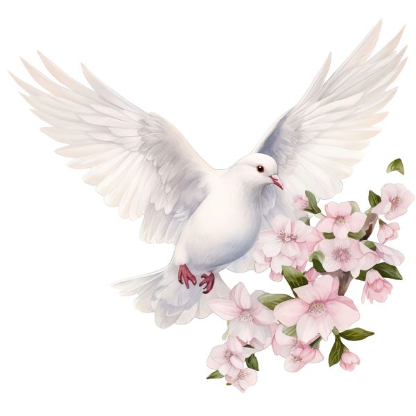 Watercolor White Dove Clipart: Blush Tones, Transparent PNG Graphics (Digital Download, Commercial Use) — image 1
