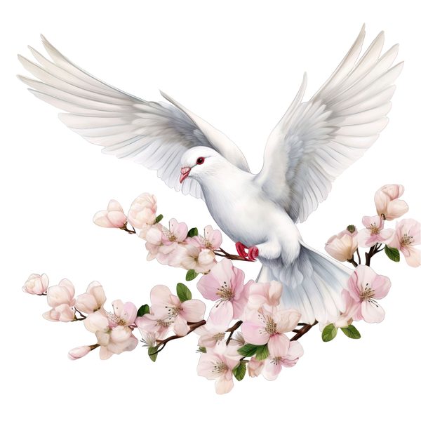Watercolor White Dove Clipart: Blush Tones, Transparent PNG Graphics (Digital Download, Commercial Use) — image 2