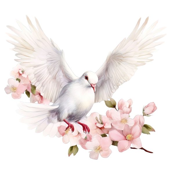 Watercolor White Dove Clipart: Blush Tones, Transparent PNG Graphics (Digital Download, Commercial Use) — image 4