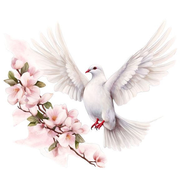 Watercolor White Dove Clipart: Blush Tones, Transparent PNG Graphics (Digital Download, Commercial Use) — image 5