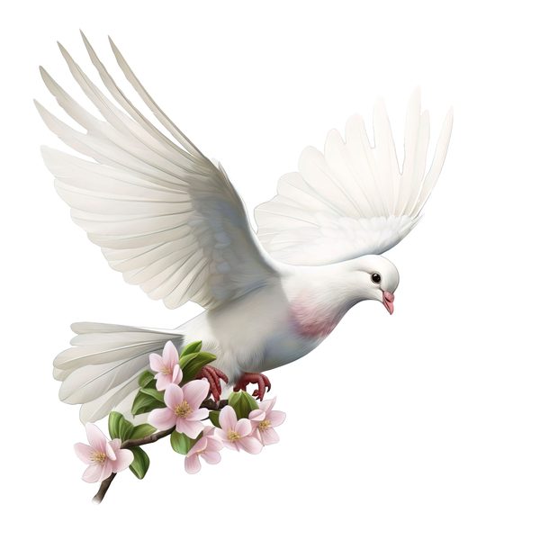 Watercolor White Dove Clipart: Blush Tones, Transparent PNG Graphics (Digital Download, Commercial Use) — image 9