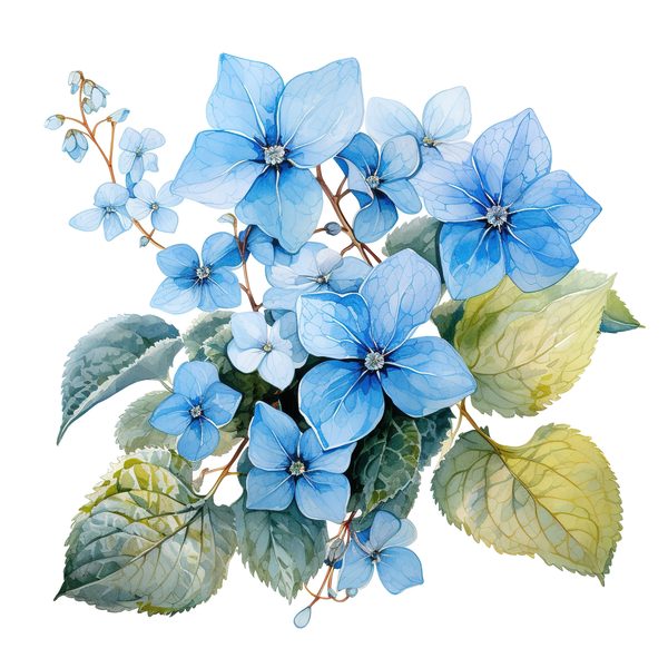 Forget-Me-Not Watercolor Clipart: Blue Hydrangea, Floral Design (Digital Download) — image 2