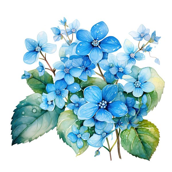 Forget-Me-Not Watercolor Clipart: Blue Hydrangea, Floral Design (Digital Download) — image 8