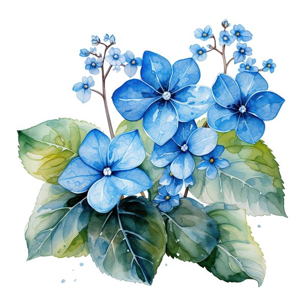 Forget-Me-Not Watercolor Clipart: Blue Hydrangea, Floral Design (Digital Download) — image 11