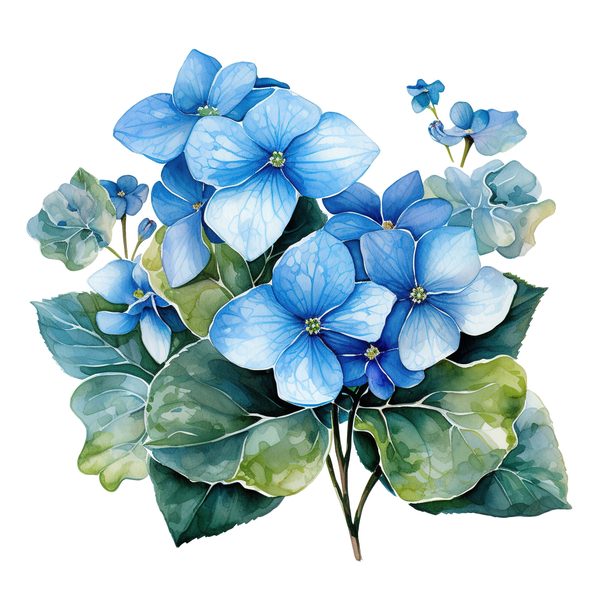 Forget-Me-Not Watercolor Clipart: Blue Hydrangea, Floral Design (Digital Download) — image 12