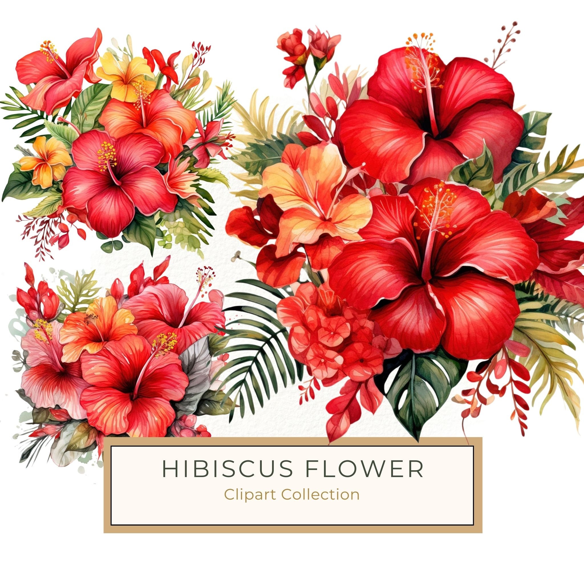 Watercolor Red Hibiscus Clipart Set: Tropical Flower Graphics (JPG, PNG)