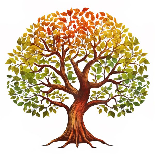 Watercolor Autumn Tree Clipart: Fall Colors, Family Tree (JPG, PNG) — image 4