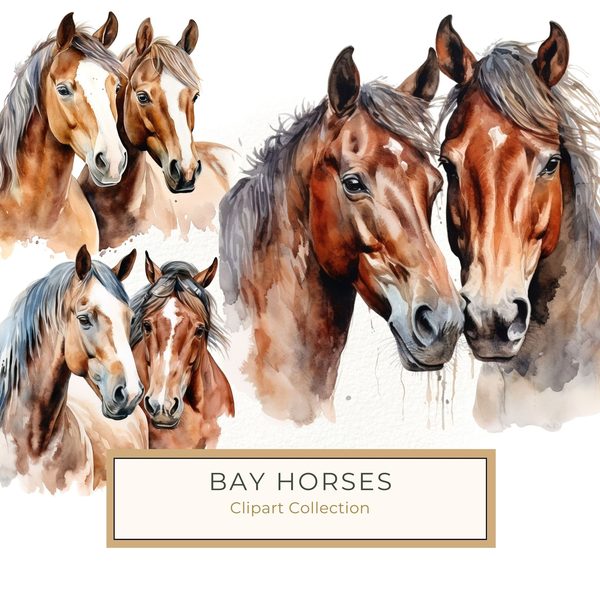 Bay Horses Watercolor Art Print: Stallion & Mare Clipart (PNG, JPG, Commercial Use)