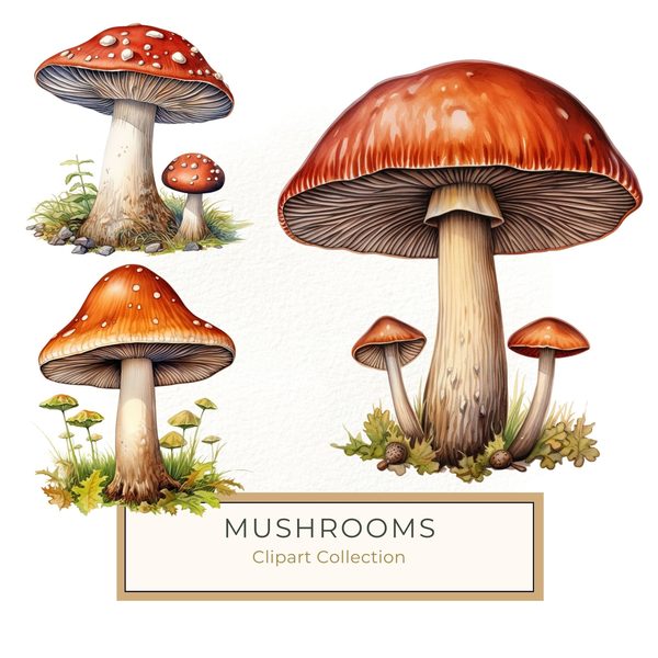 Watercolor Mushroom Clipart: Woodland Illustration (PNG JPG Digital Download)