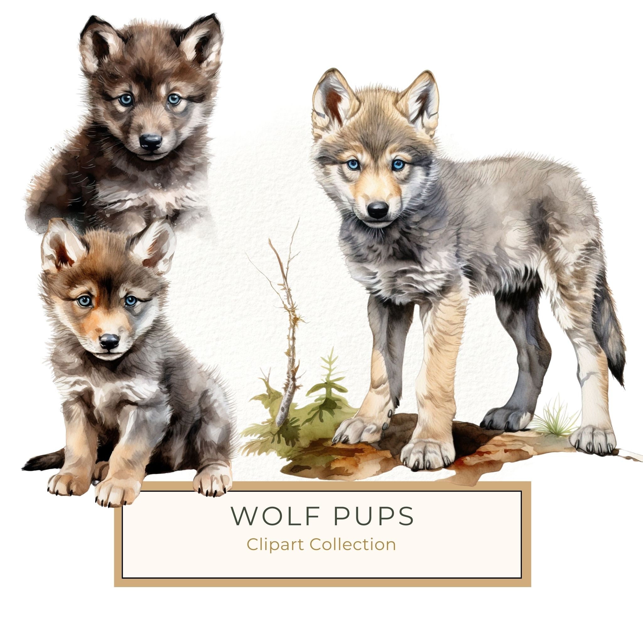 Watercolor Baby Wolf Clipart: Woodland Winter Art (JPG, PNG)