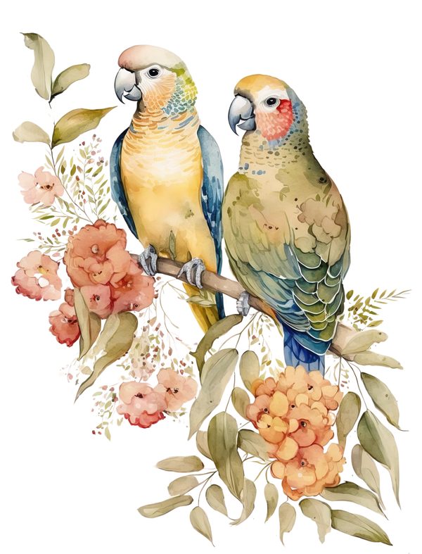 Colorful Parrot Clipart PNG - Commercial Use — image 1