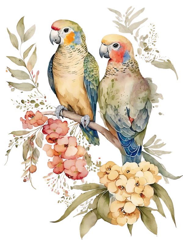 Colorful Parrot Clipart PNG - Commercial Use — image 10