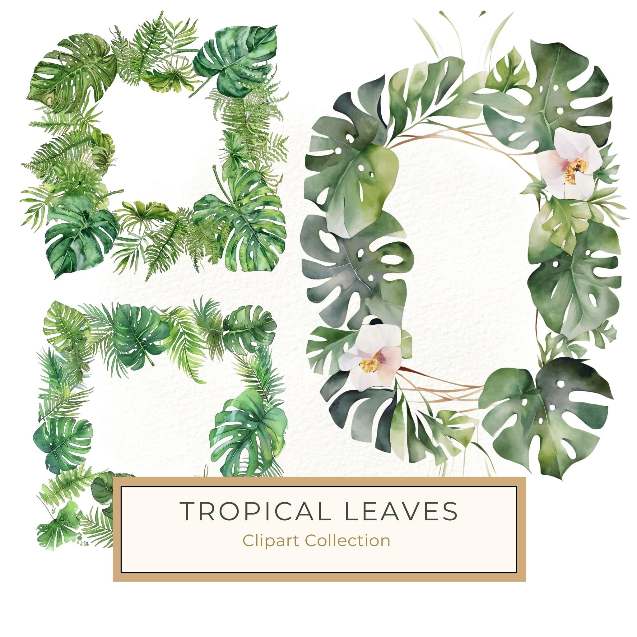 Watercolor Tropical Leaf Frames Clipart: Monstera & Fern (8 PNGs)