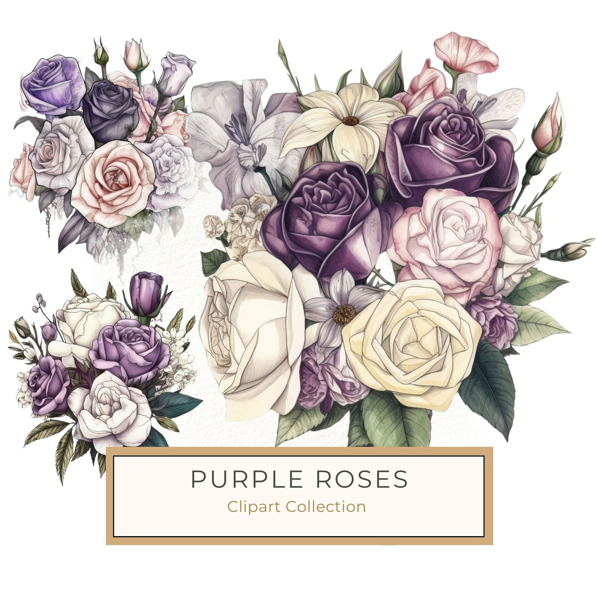 Watercolor Rose Clipart: Purple & White Floral Bouquet (PNG, JPG)