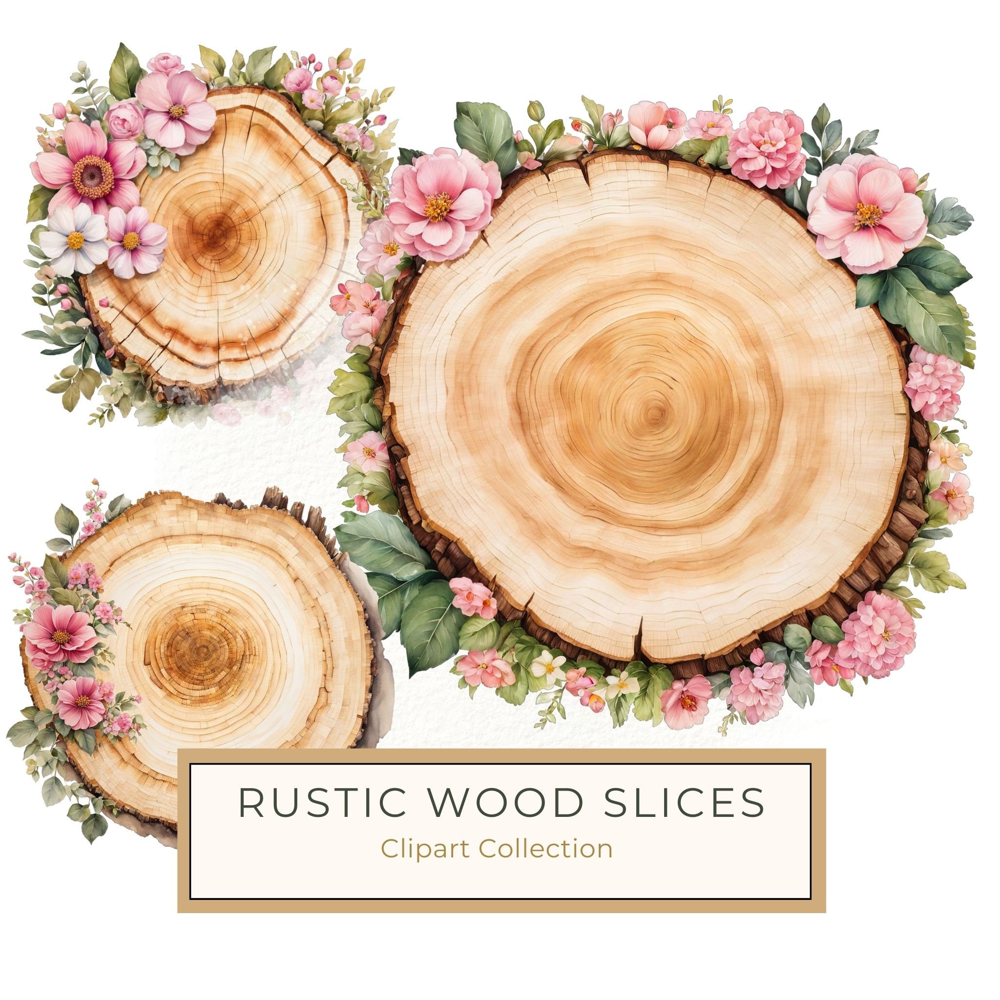 Watercolor Floral Wood Slice Clipart: Pink PNG Graphics (Commercial Use, Digital Download)