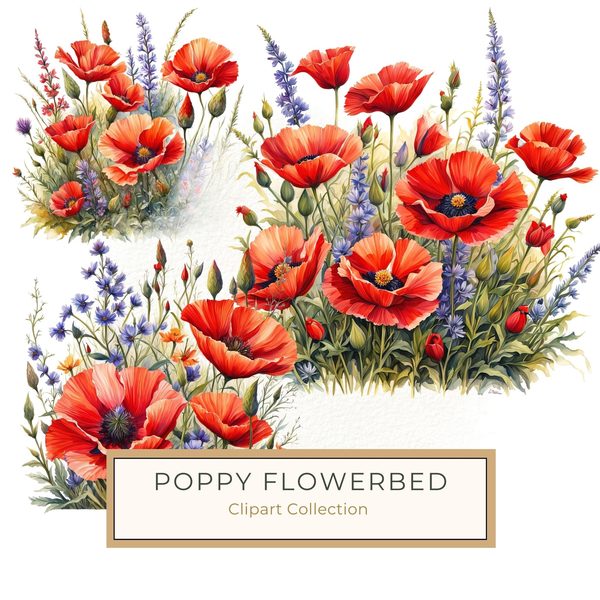 Watercolor Poppy Clipart: Wildflower Meadow Art (Digital Download)