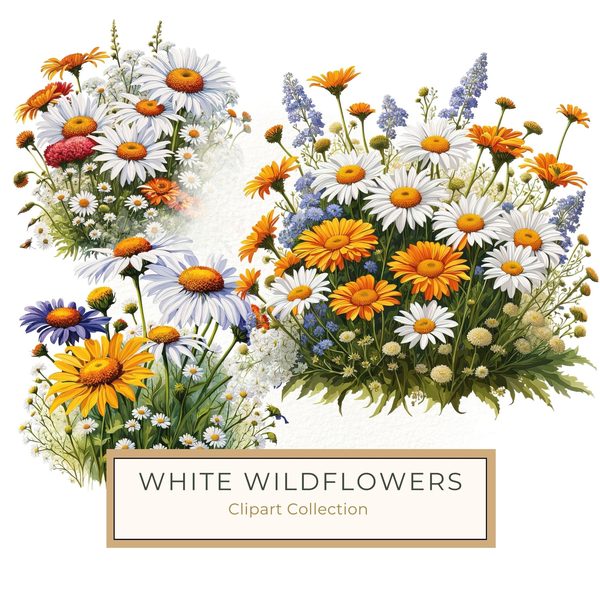 Wildflower Garden Clipart: Daisies, Yarrow, Watercolor Art (Digital Download)