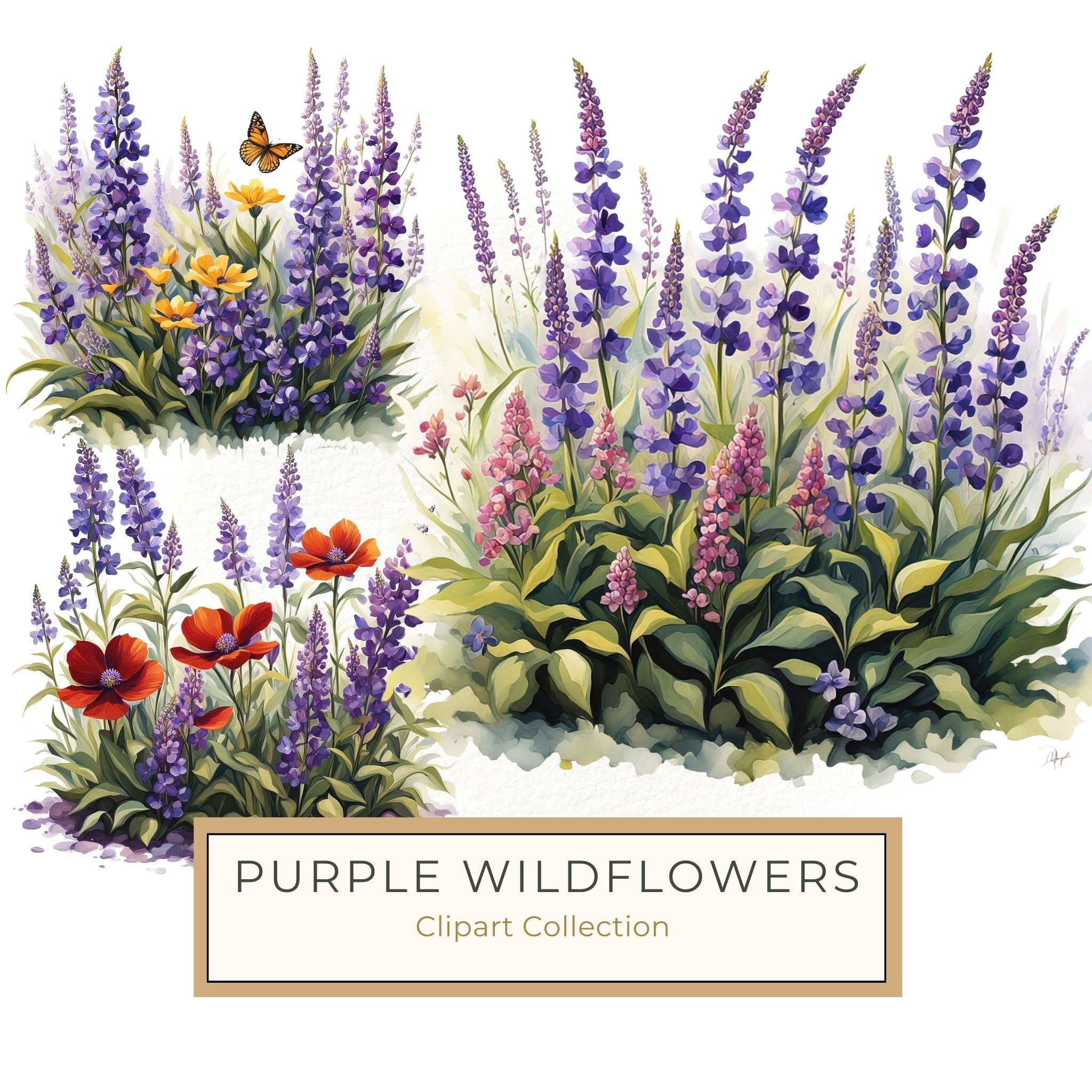 Watercolor Wildflower Clipart: Lavender Flowerbed PNG JPG (Commercial Use)