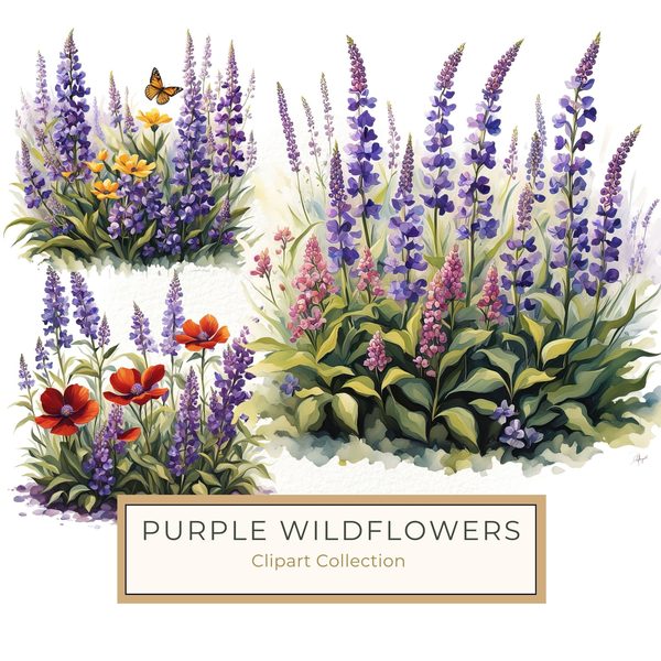 Watercolor Wildflower Clipart: Lavender Flowerbed PNG JPG (Commercial Use)