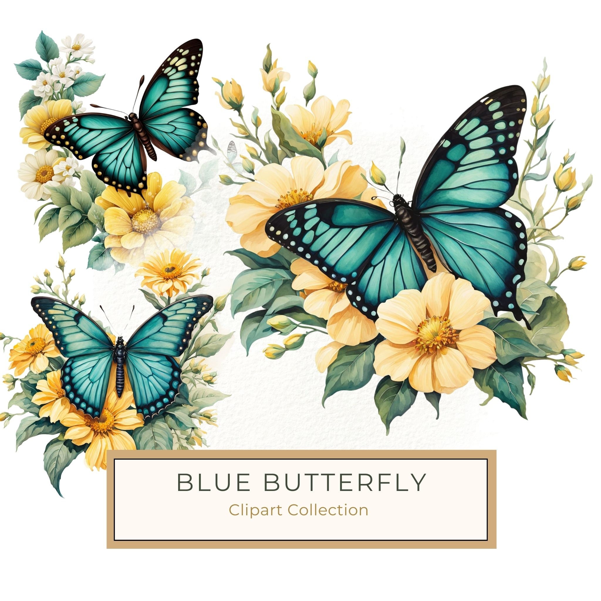 Blue Butterfly Clipart: Boho Watercolor Floral Graphics (JPG, PNG)