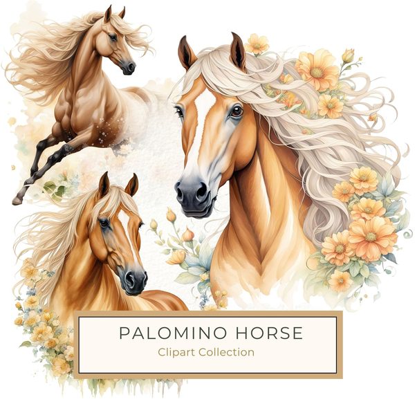 Palomino Horse Watercolor Clipart: Boho Equestrian Art (JPG, PNG)