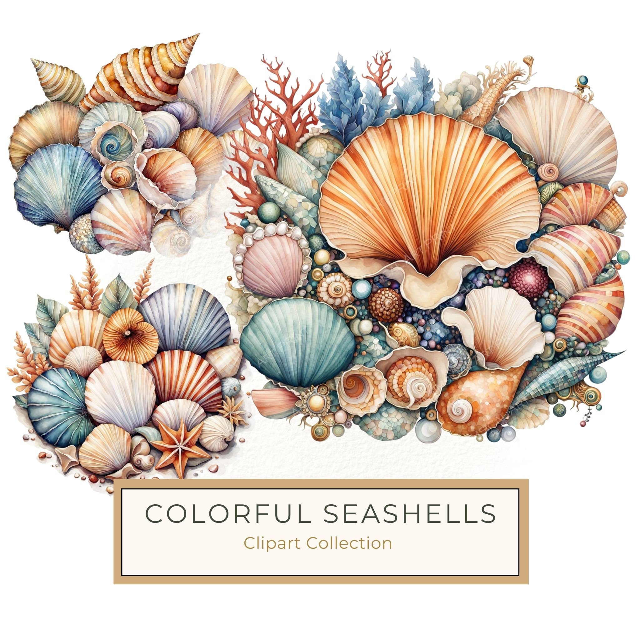 Watercolor Seashell Clipart: Beachy Summer Designs (JPG & PNG Files)