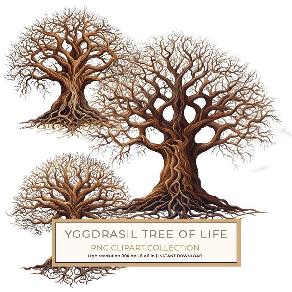 10 Yggdrasil Tree of Life PNG Clipart : Bare Trees, Deep Roots (Commercial Use)