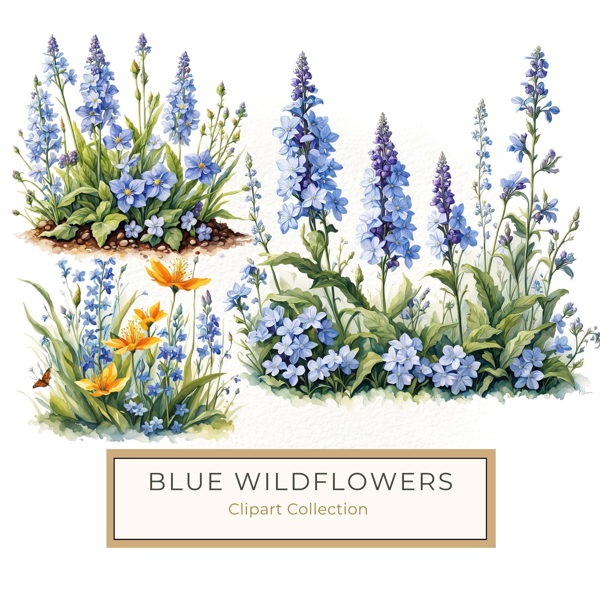 Blue Wildflower Clipart: Watercolor Chicory, Forget-Me-Nots (Digital Download)