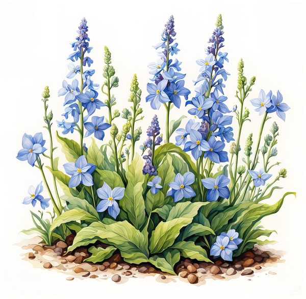 Blue Wildflower Clipart: Watercolor Chicory, Forget-Me-Nots (Digital Download) — image 3