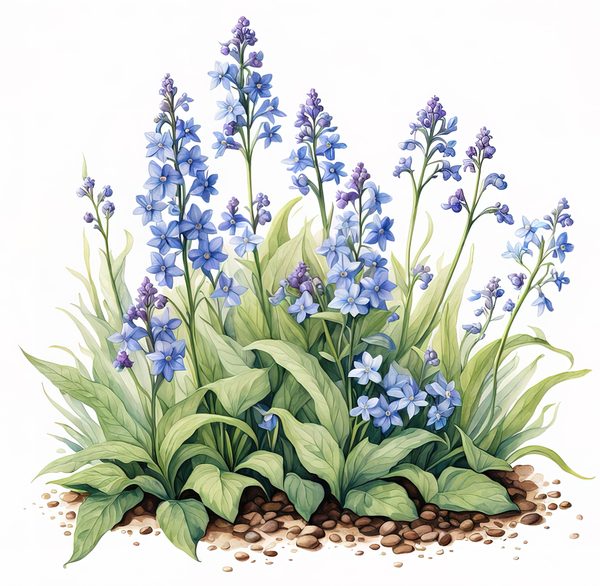 Blue Wildflower Clipart: Watercolor Chicory, Forget-Me-Nots (Digital Download) — image 6