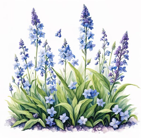 Blue Wildflower Clipart: Watercolor Chicory, Forget-Me-Nots (Digital Download) — image 10