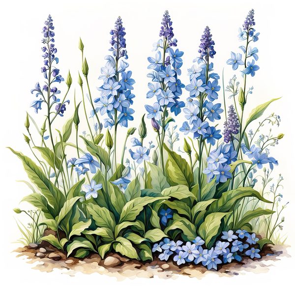 Blue Wildflower Clipart: Watercolor Chicory, Forget-Me-Nots (Digital Download) — image 14