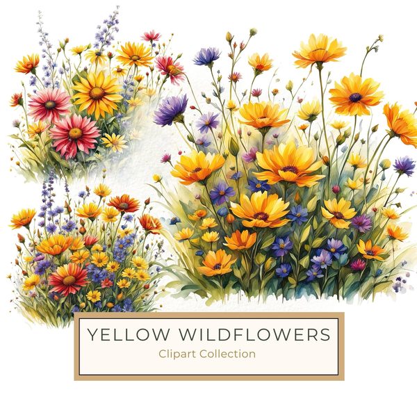 Wildflower Buttercup Clipart: Yellow Cosmos & Daisies, Watercolor Flowerbed (Digital Download)