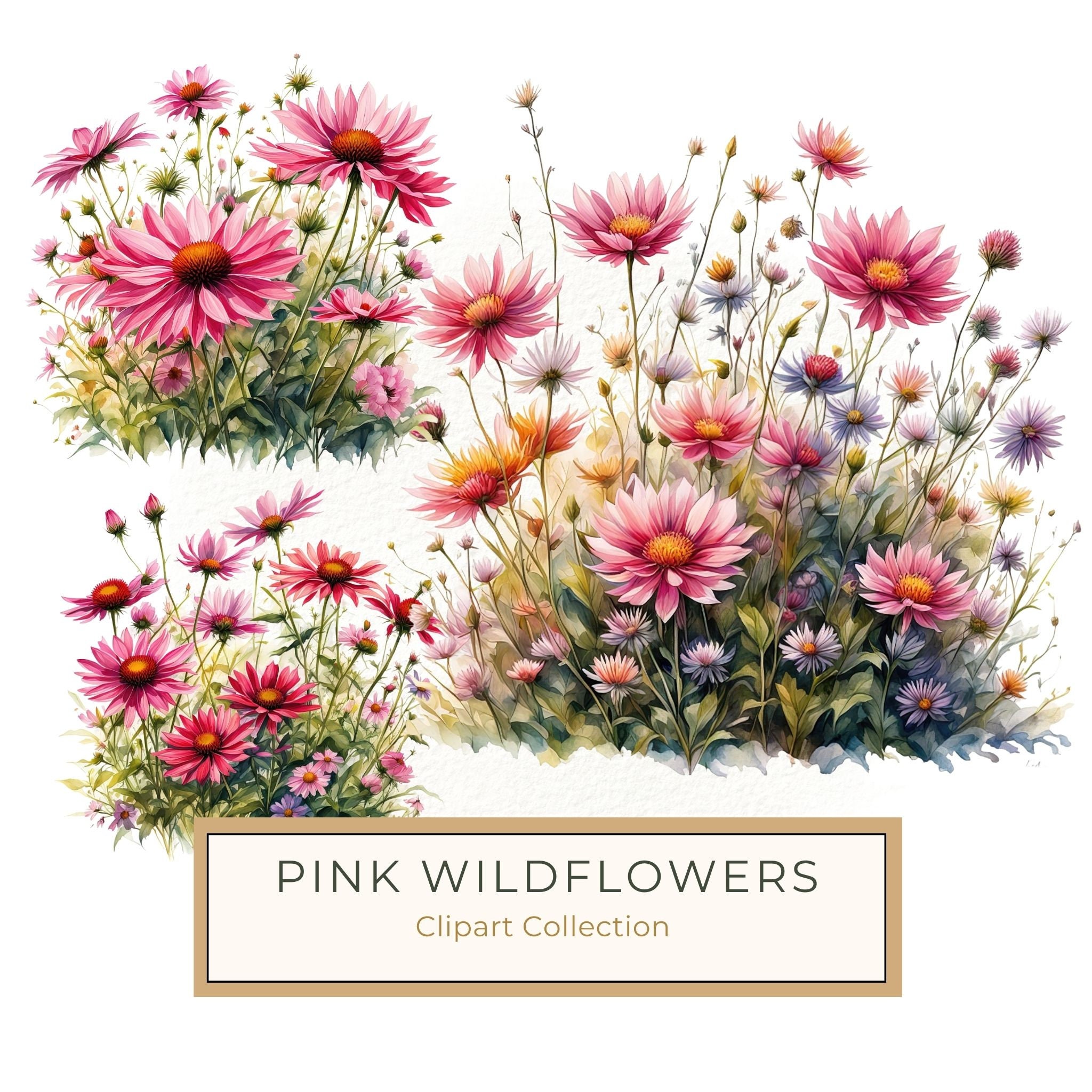 Pink Wildflower Clipart: Watercolor Boho Floral Designs (Digital Download)