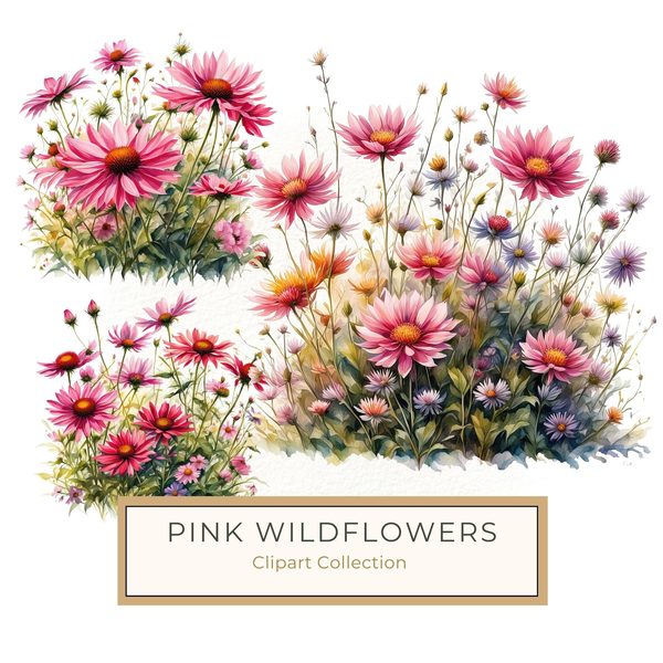 Pink Wildflower Clipart: Watercolor Boho Floral Designs (Digital Download)