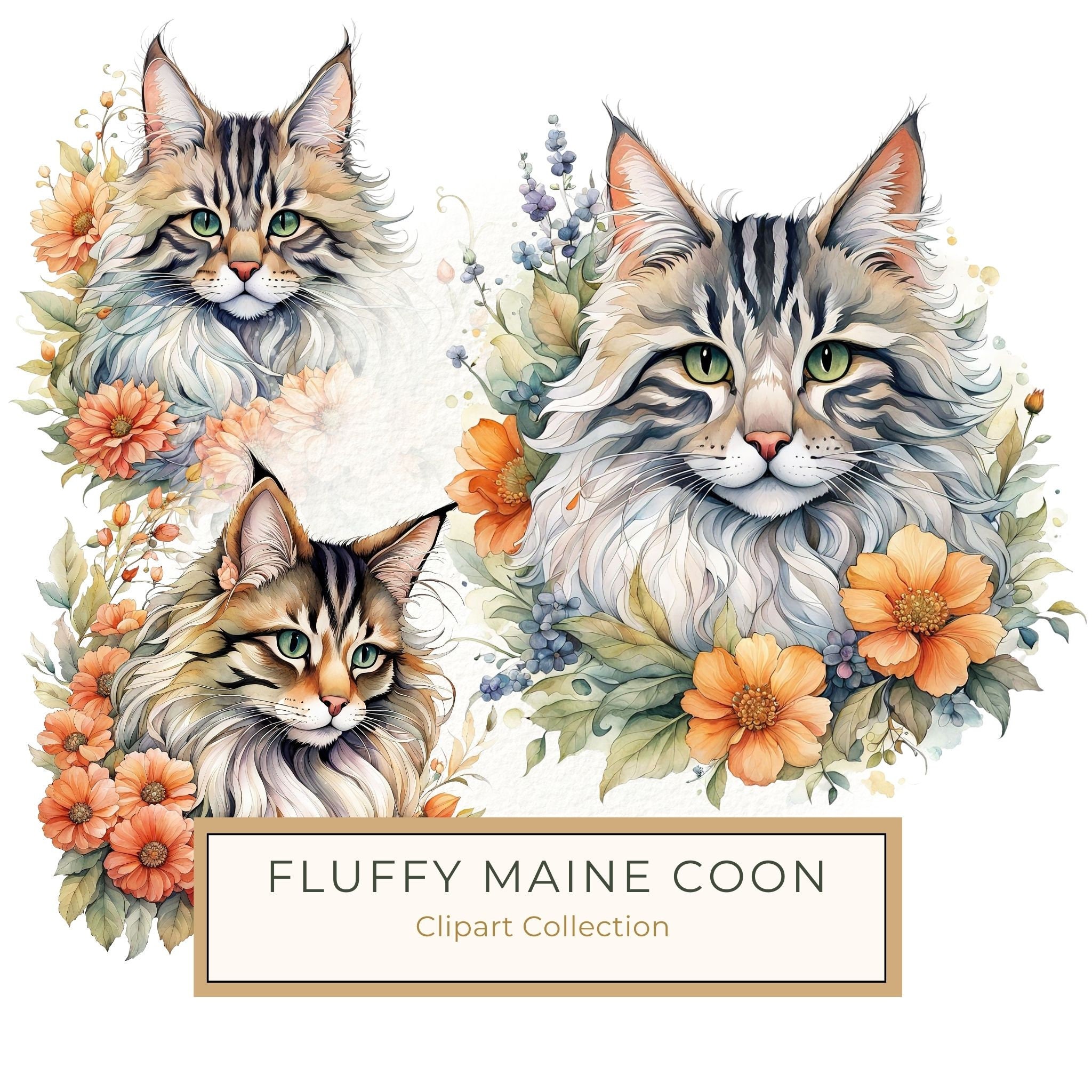 Maine Coon Cat Watercolor Clipart Set, Boho Style (JPG, PNG)