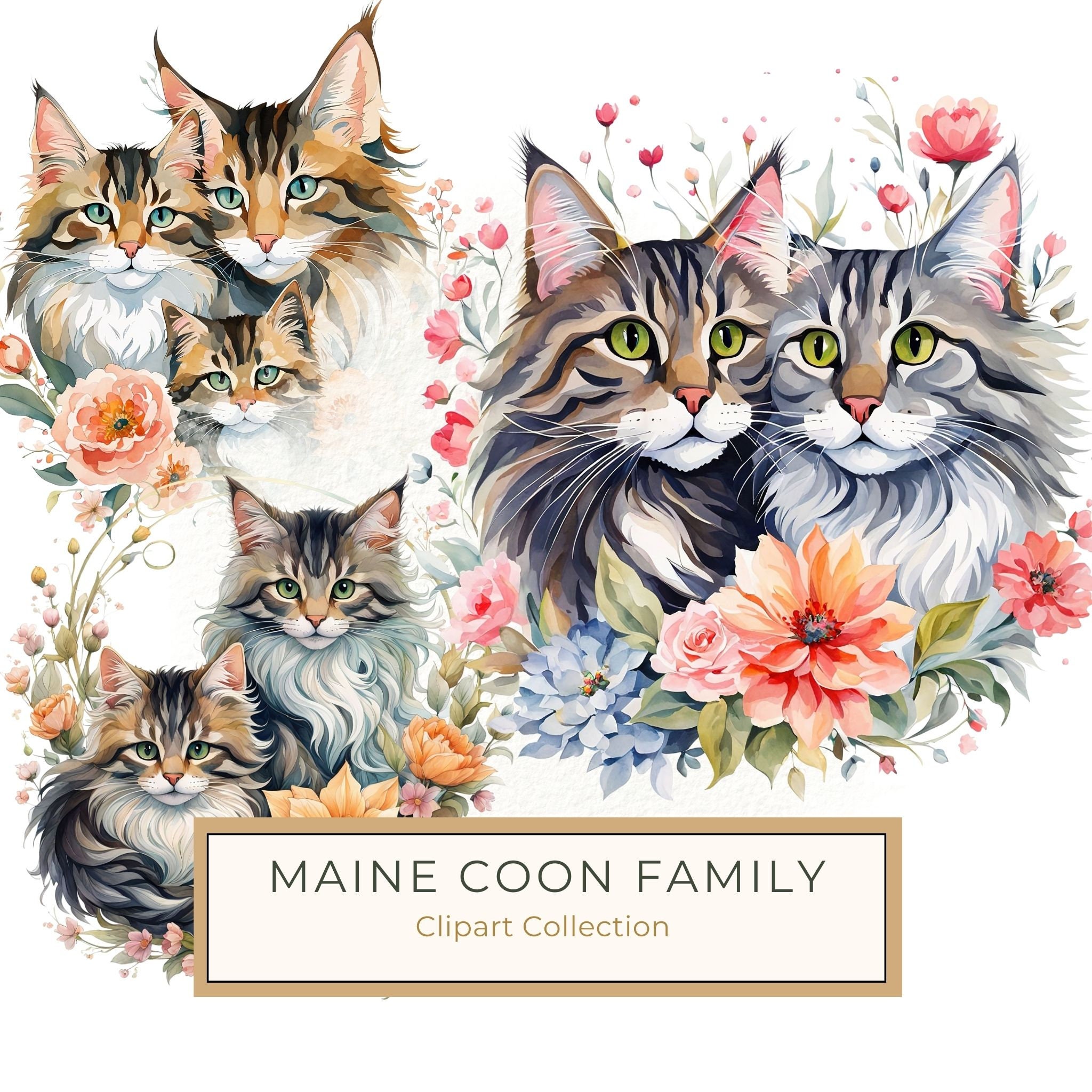 Watercolor Maine Coon Cat Clipart Set, Boho Family, Flowers (JPG & PNG)