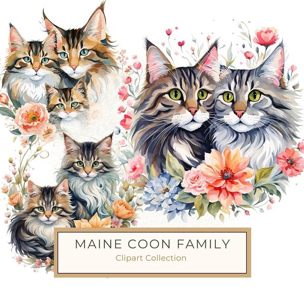 Watercolor Maine Coon Cat Clipart Set, Boho Family, Flowers (JPG & PNG)
